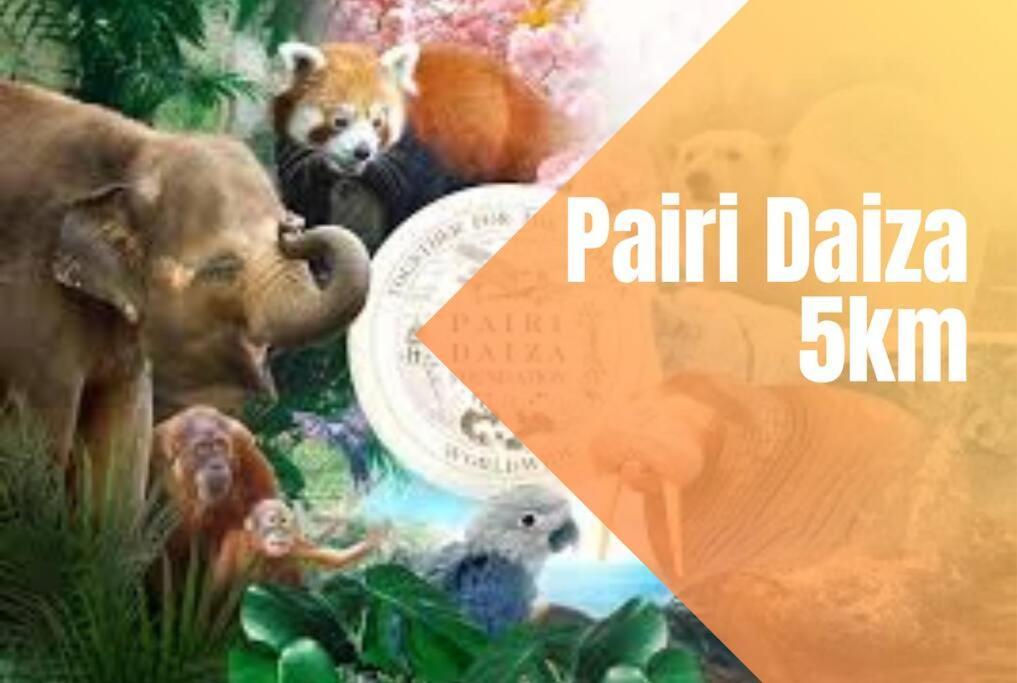 Charmant Logement Brugelette Proche De Pairi Daiza Luaran gambar